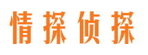 团城山寻人公司